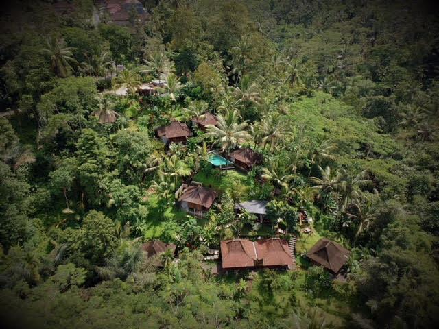 Ubud Jungle Holy Water Екстериор снимка